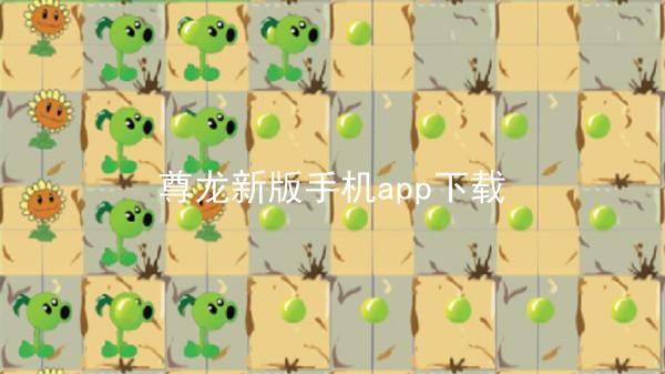 尊龙新版手机app下载