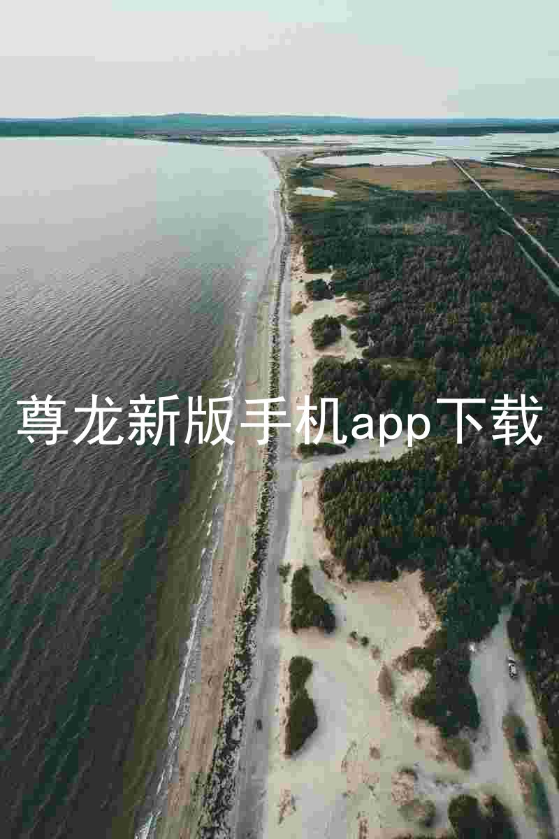 尊龙新版手机app下载