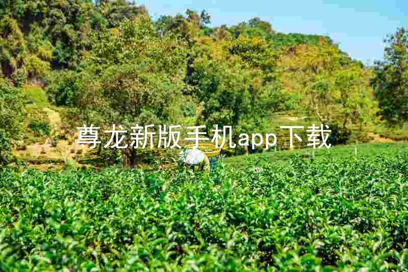 尊龙新版手机app下载