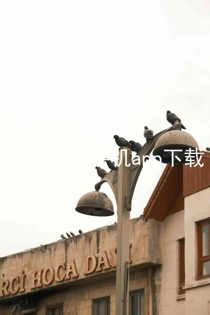 尊龙新版手机app下载